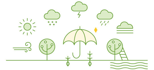 grafico agro seguros