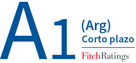 A1