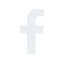 social icon facebook