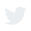 social icon twitter