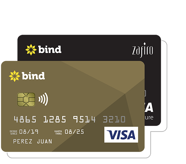 22 TARJETAS DE CREDITO VISA2