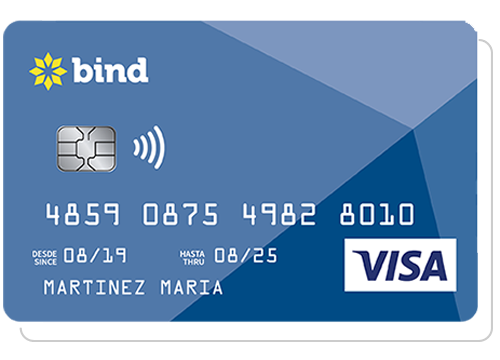 VISA CORPORATE